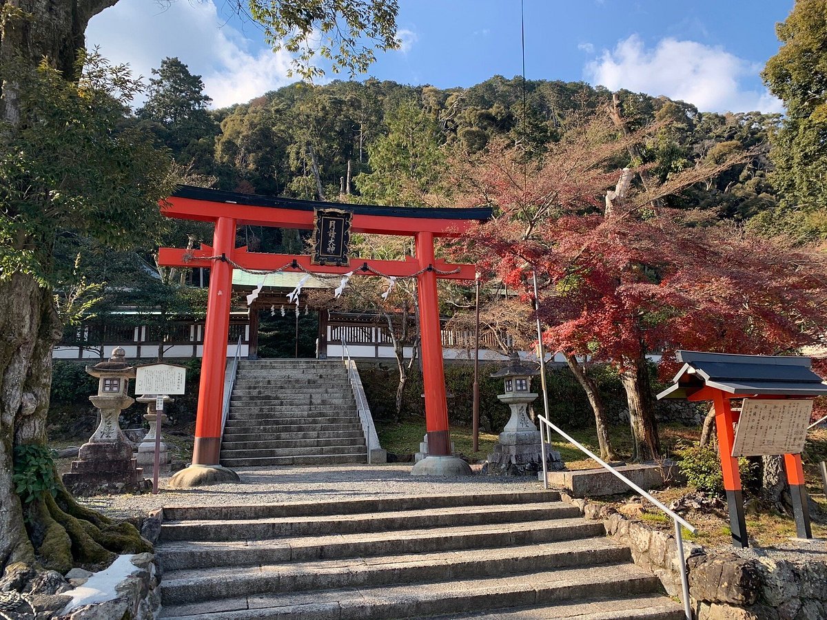 ⛩️ 달읽는 신사(쓰키요미진자) 이미지 7